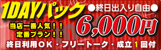 1dayパック