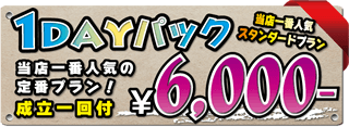 1dayパック