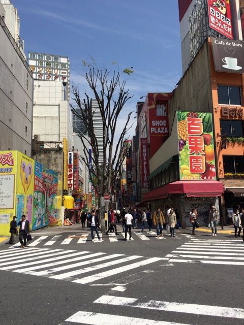 2.アルタの横（百果園）の通りをまっすぐ直進。